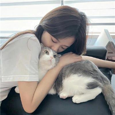 你好布拉德海报